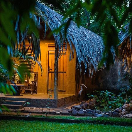 Private Organic House Bed & Breakfast Udawalawe Luaran gambar