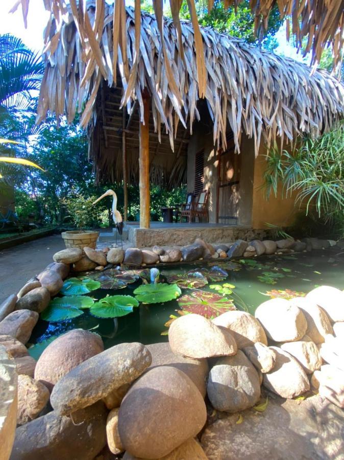 Private Organic House Bed & Breakfast Udawalawe Luaran gambar