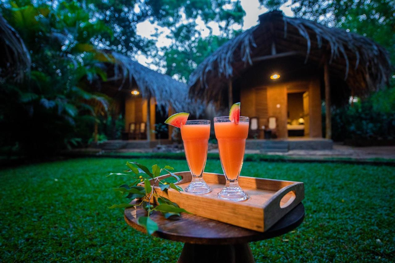 Private Organic House Bed & Breakfast Udawalawe Luaran gambar