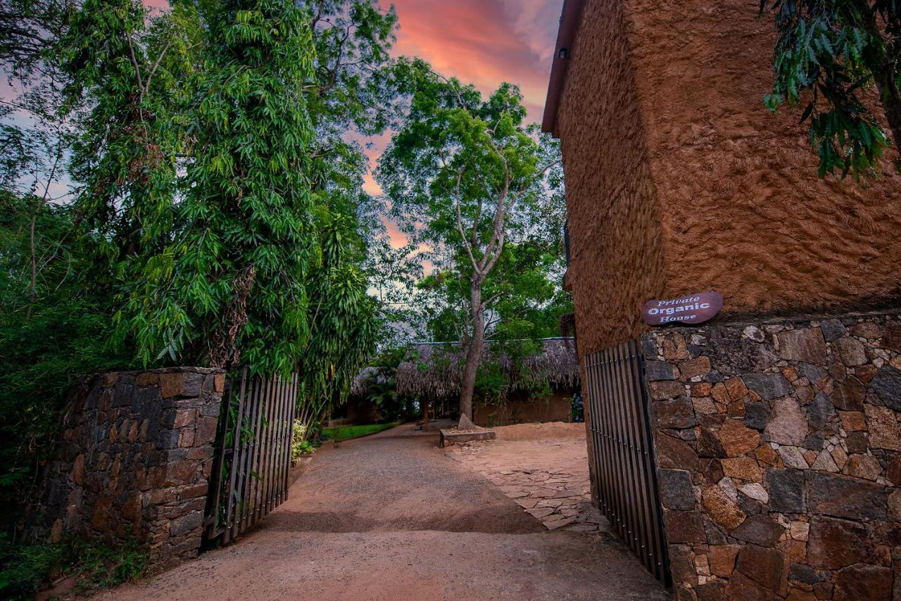 Private Organic House Bed & Breakfast Udawalawe Luaran gambar